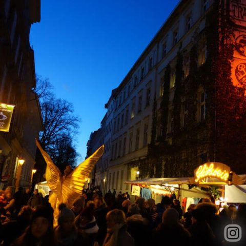 Umwelt und Weihnachtsmarkt in der Sophienstrasse